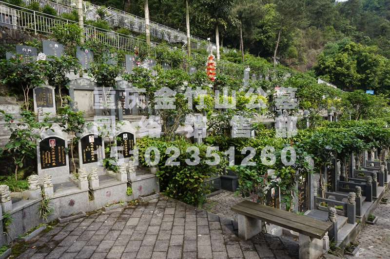 金竹山公墓墓型图