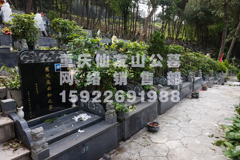 仙友山公墓墓型图