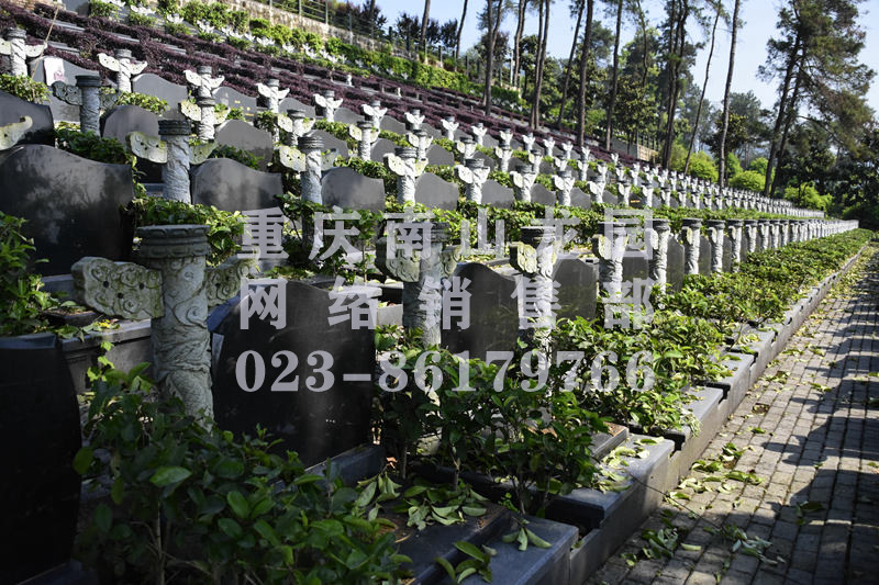 南山龙园墓型图