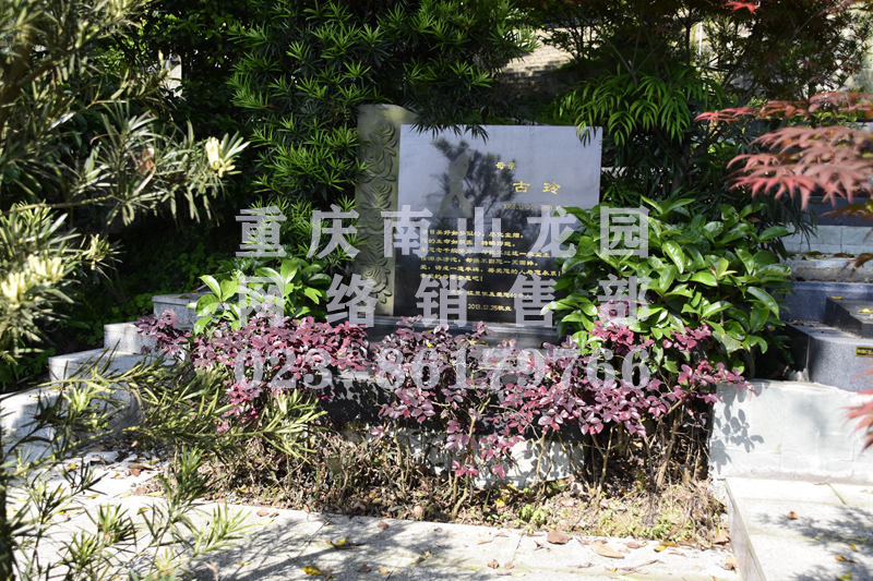南山龙园墓型图