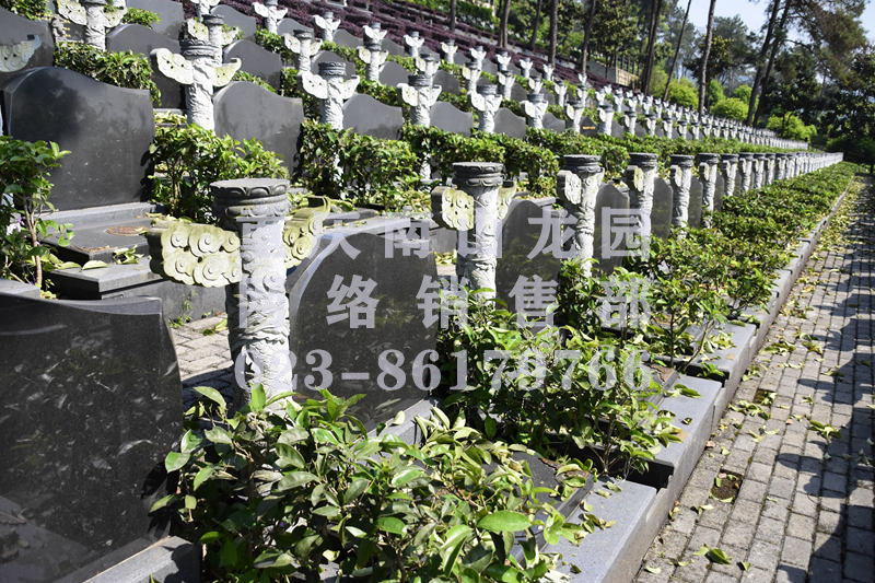 南山龙园墓型图