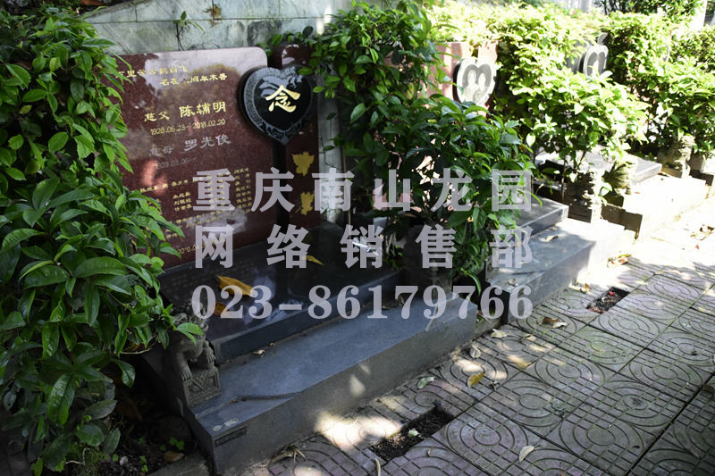 南山龙园墓型图