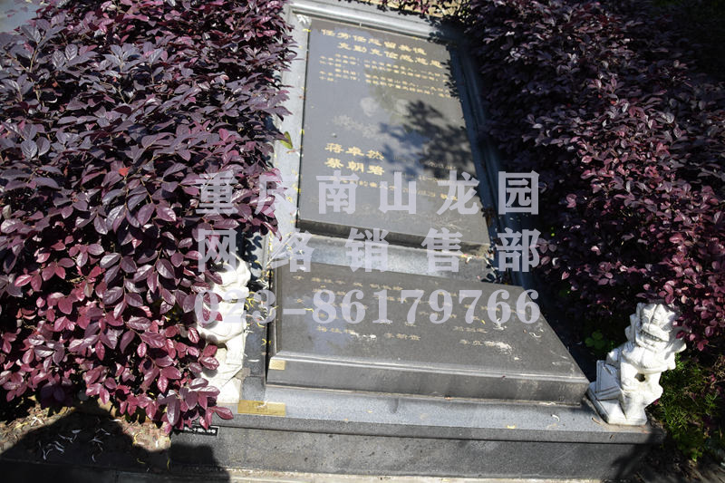 南山龙园墓型图