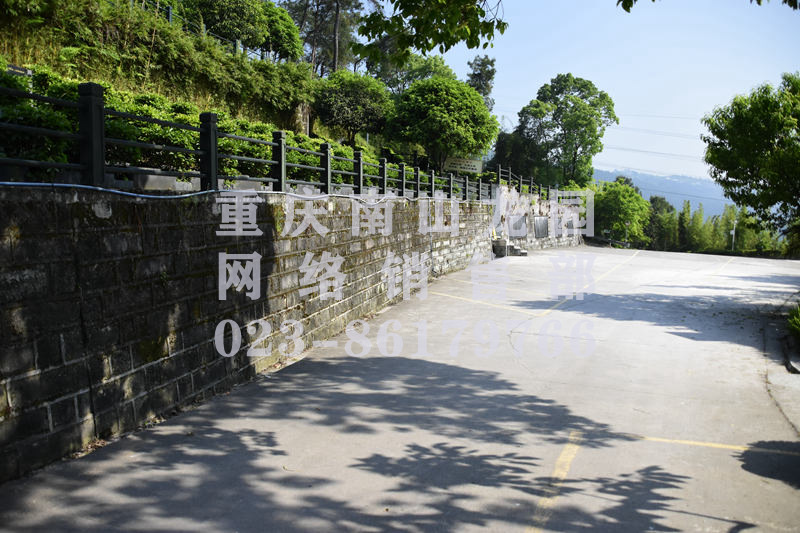 南山龙园风景图
