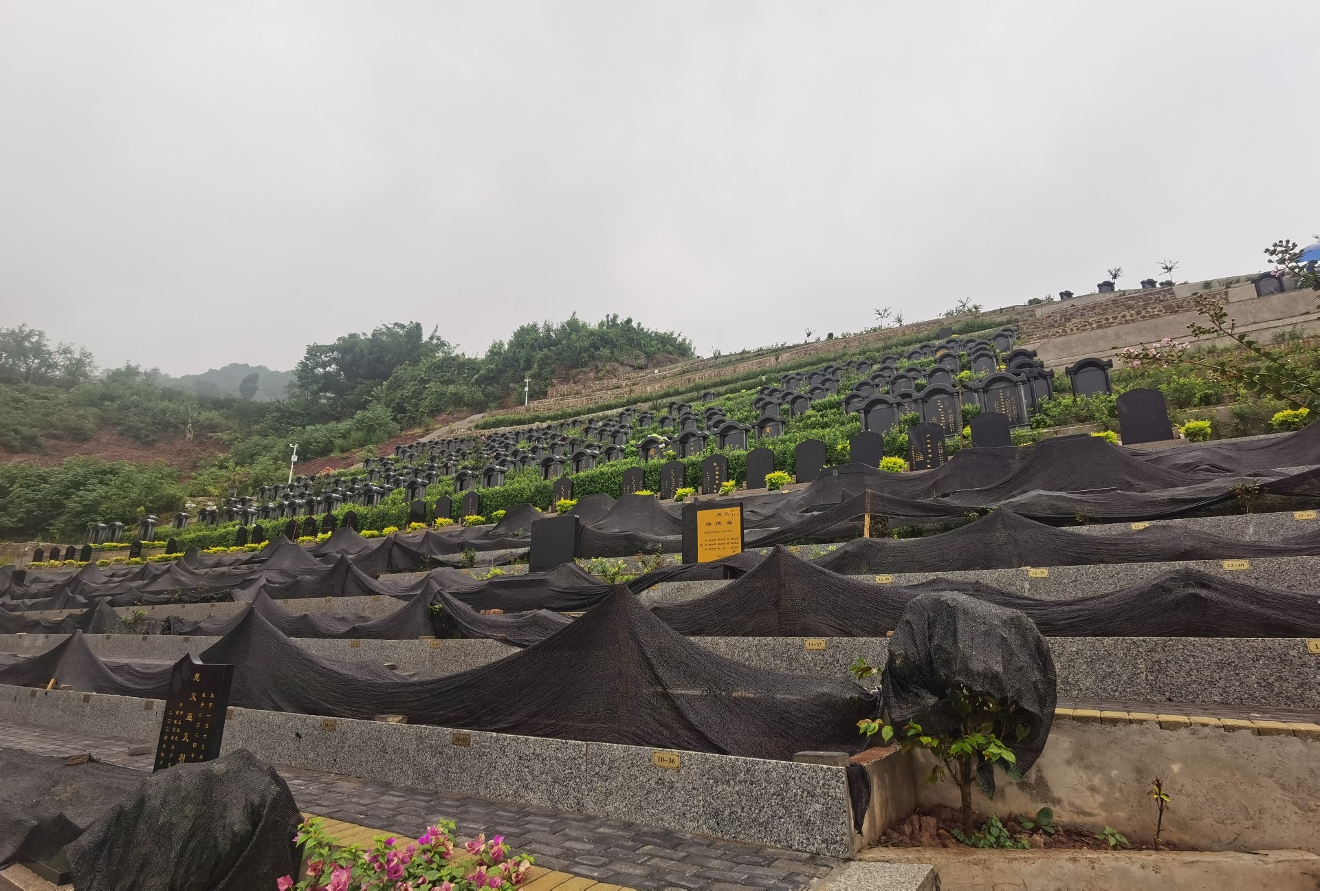重庆云篆山公墓墓型图